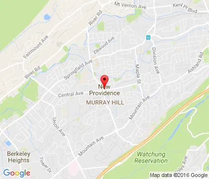 logo-image - NewProvidence-NJ